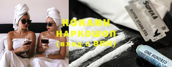 дмт Богданович