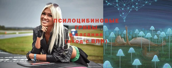 дмт Богданович