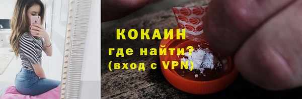 дмт Богданович