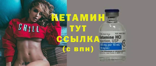 дмт Богданович