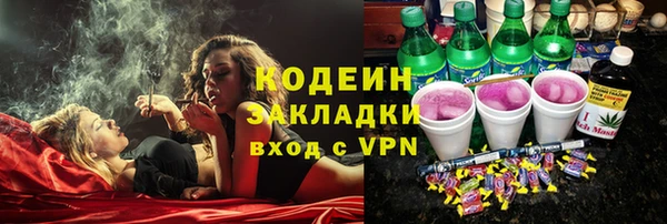 дмт Богданович