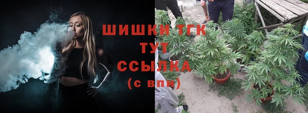 трава Богородицк