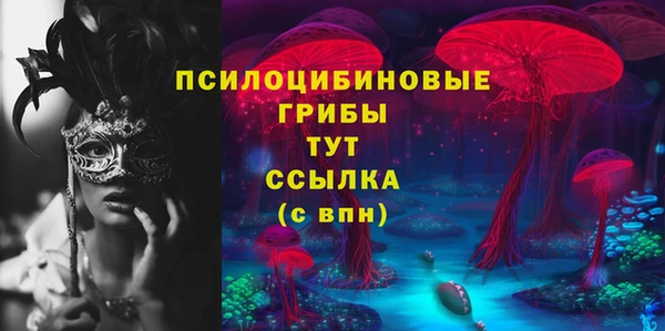 трава Богородицк
