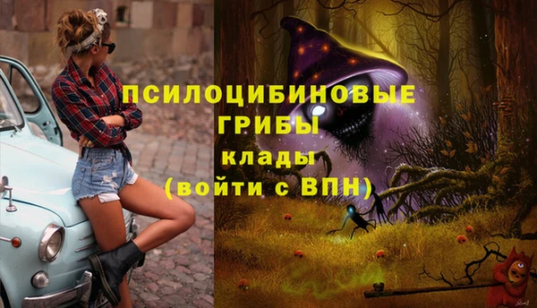 дмт Богданович